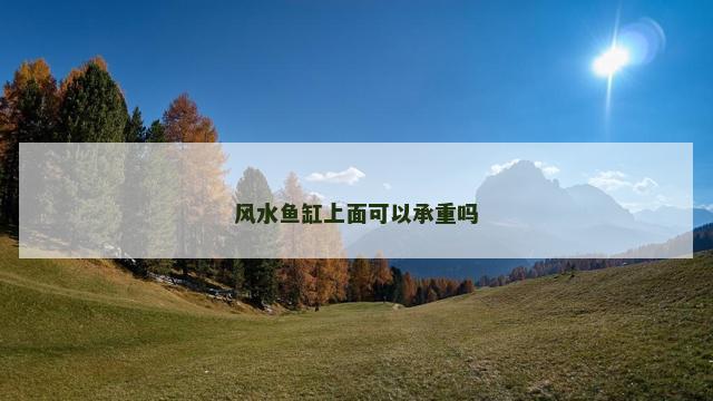 风水鱼缸上面可以承重吗
