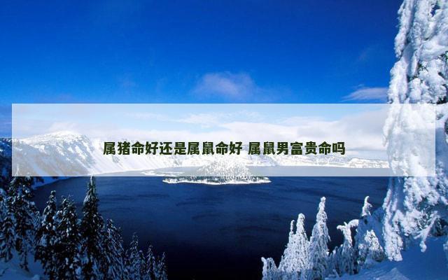 属猪命好还是属鼠命好 属鼠男富贵命吗
