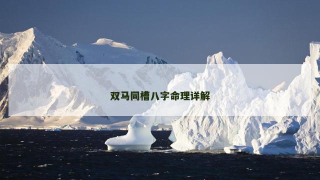 双马同槽八字命理详解