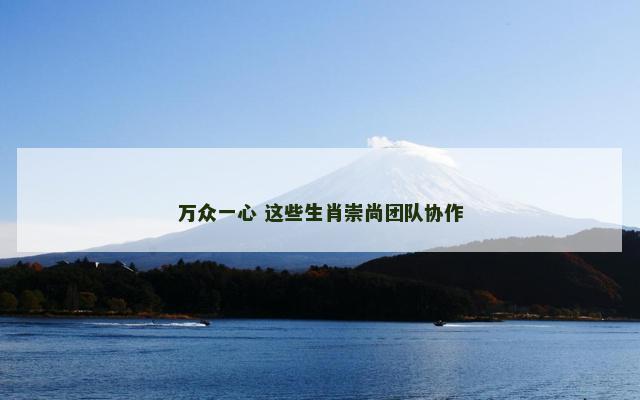 万众一心 这些生肖崇尚团队协作