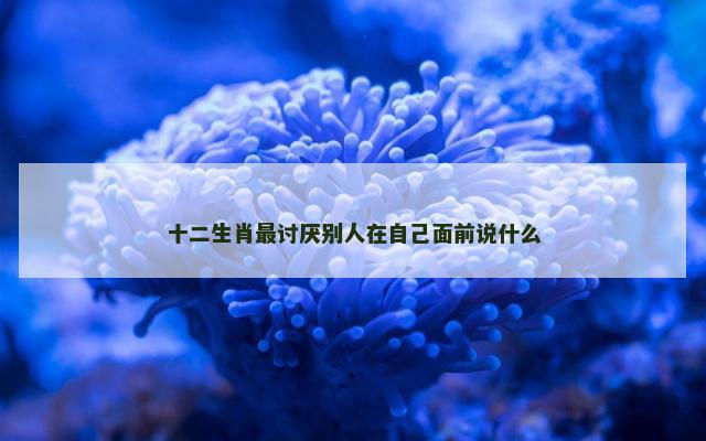 十二生肖最讨厌别人在自己面前说什么