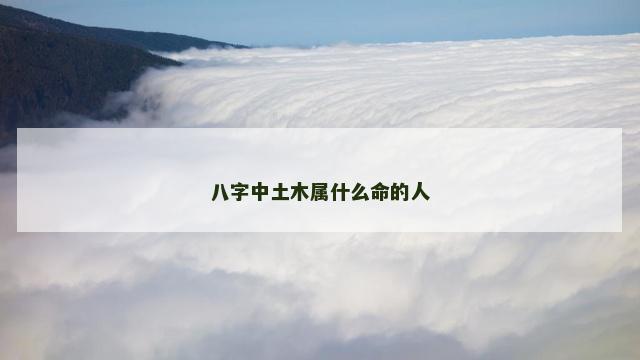 八字中土木属什么命的人