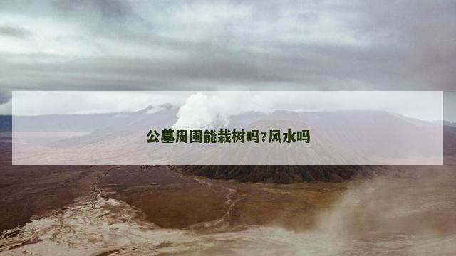 公墓周围能栽树吗?风水吗