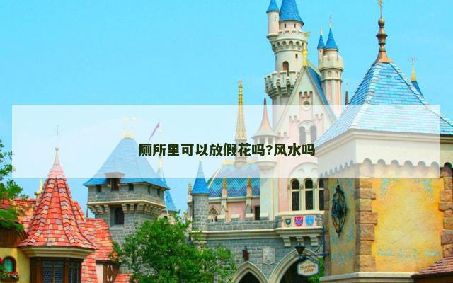 厕所里可以放假花吗?风水吗