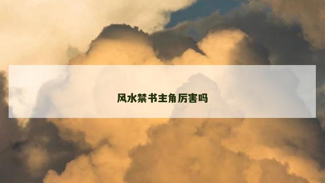 风水禁书主角厉害吗