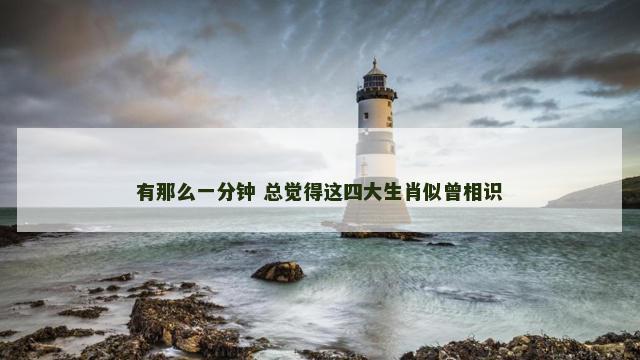 有那么一分钟 总觉得这四大生肖似曾相识