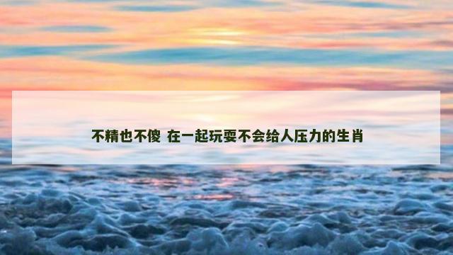 不精也不傻 在一起玩耍不会给人压力的生肖