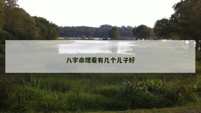 八字命理看有几个儿子好