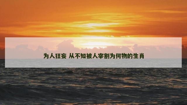 为人狂妄 从不知被人宰割为何物的生肖