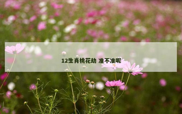 12生肖桃花劫 准不准呢