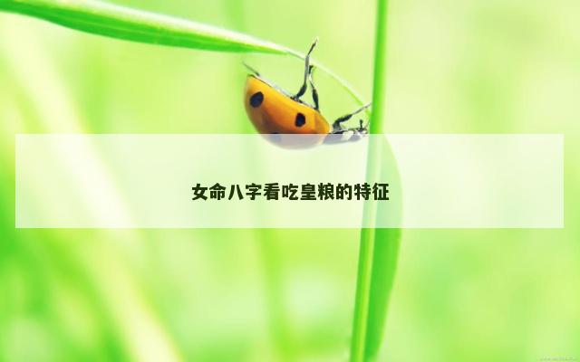 女命八字看吃皇粮的特征