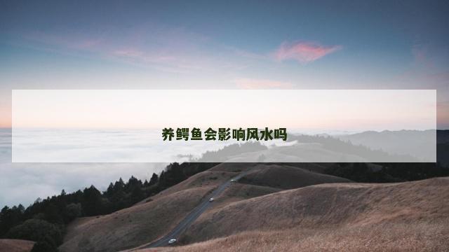 养鳄鱼会影响风水吗
