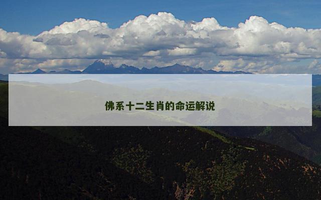 佛系十二生肖的命运解说