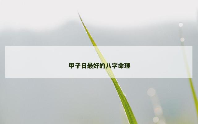 甲子日最好的八字命理