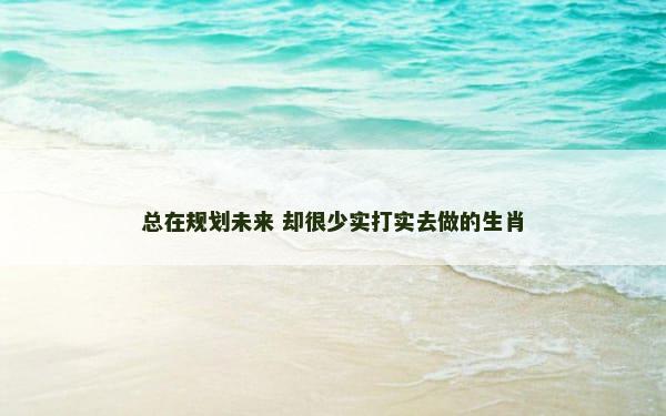 总在规划未来 却很少实打实去做的生肖