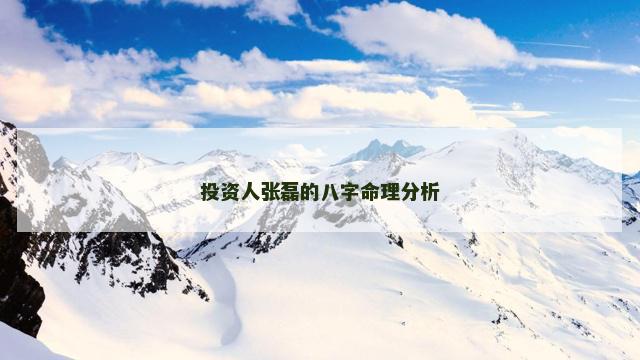 投资人张磊的八字命理分析