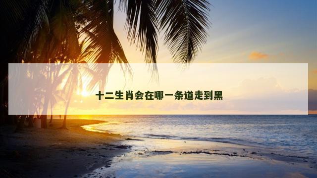 十二生肖会在哪一条道走到黑