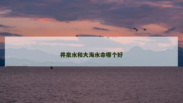 井泉水和大海水命哪个好