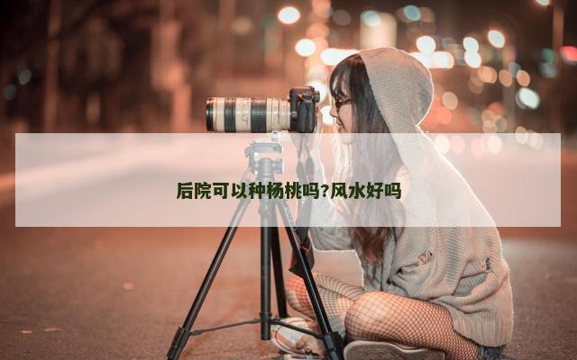 后院可以种杨桃吗?风水好吗