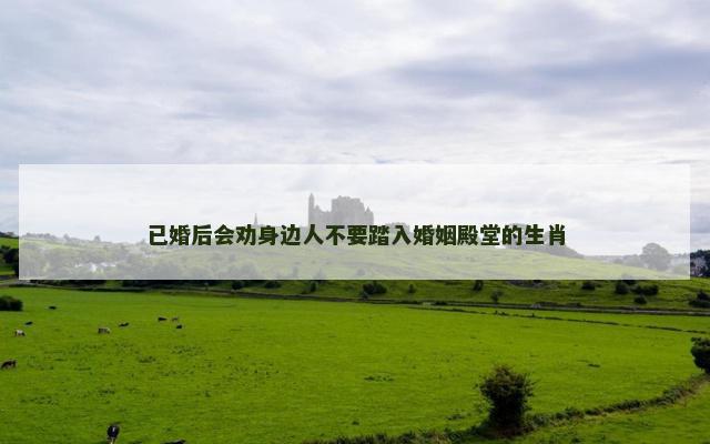 已婚后会劝身边人不要踏入婚姻殿堂的生肖