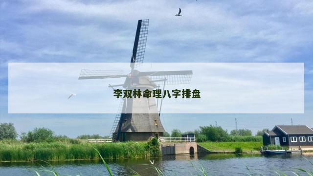 李双林命理八字排盘