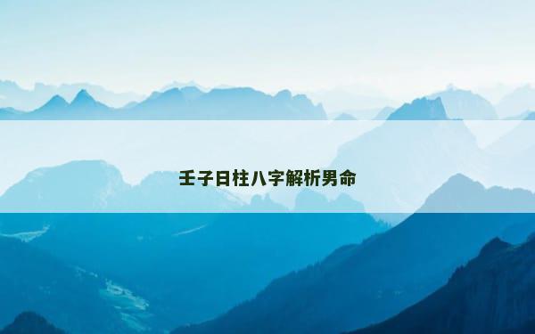 壬子日柱八字解析男命