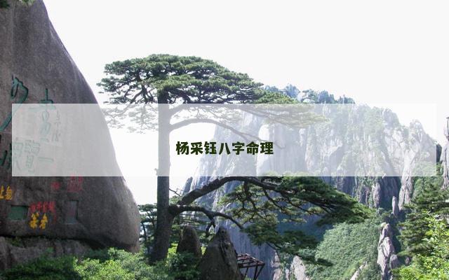 杨采钰八字命理