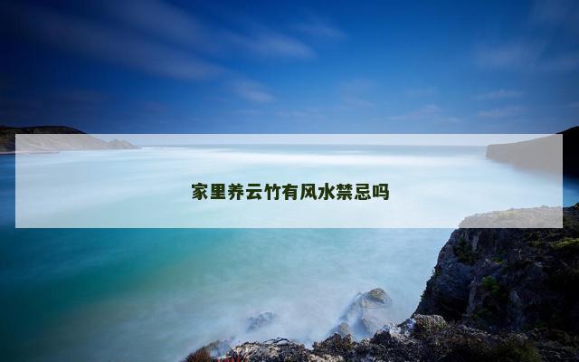 家里养云竹有风水禁忌吗