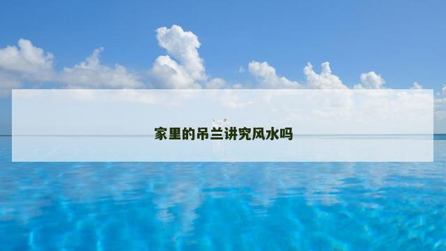家里的吊兰讲究风水吗