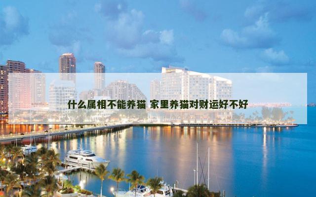 什么属相不能养猫 家里养猫对财运好不好