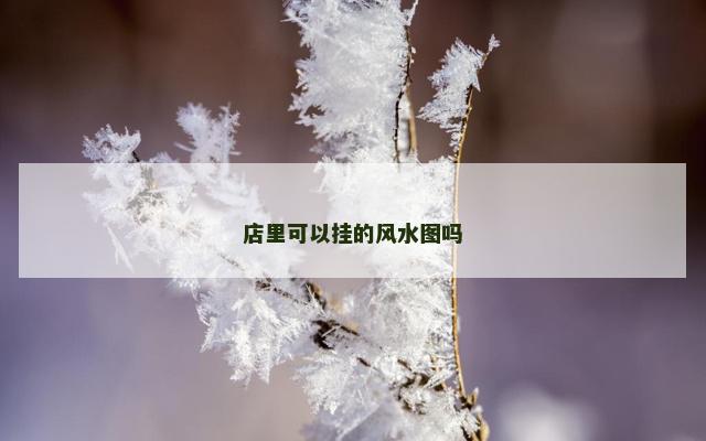 店里可以挂的风水图吗