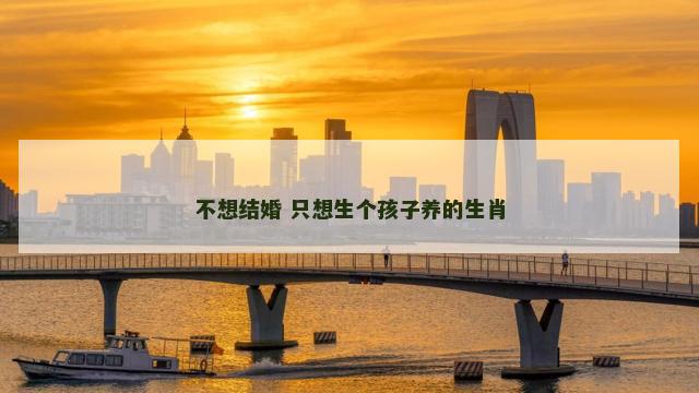 不想结婚 只想生个孩子养的生肖