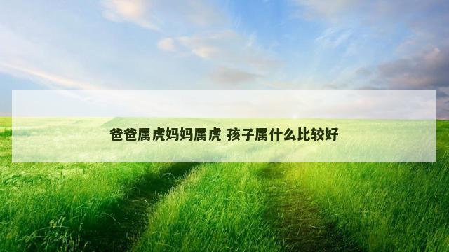 爸爸属虎妈妈属虎 孩子属什么比较好