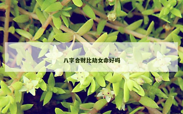 八字合财比劫女命好吗