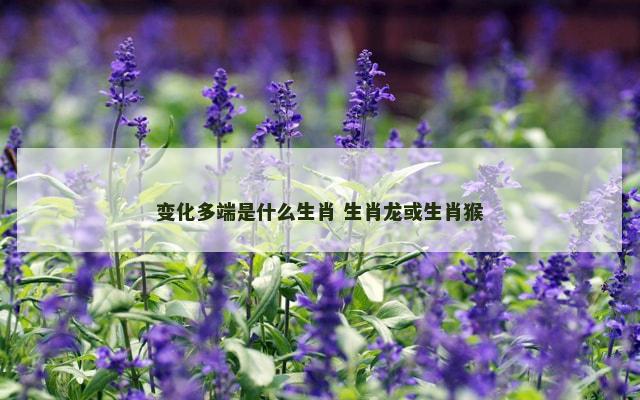 变化多端是什么生肖 生肖龙或生肖猴
