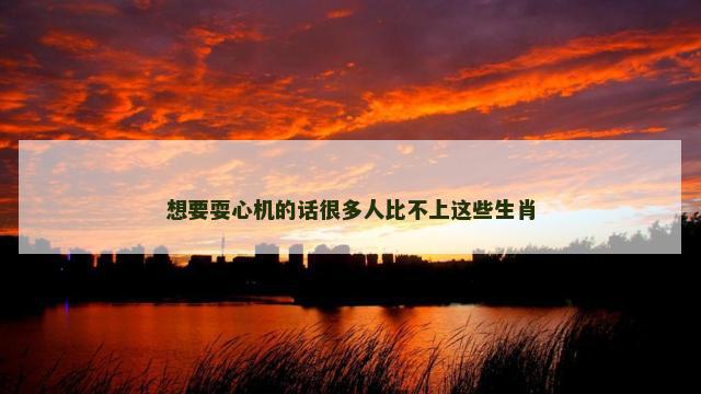 想要耍心机的话很多人比不上这些生肖