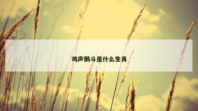 鸡声鹅斗是什么生肖