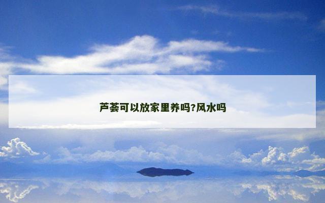 芦荟可以放家里养吗?风水吗