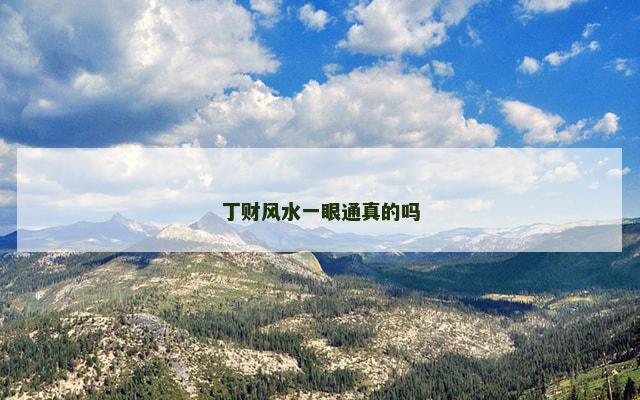 丁财风水一眼通真的吗