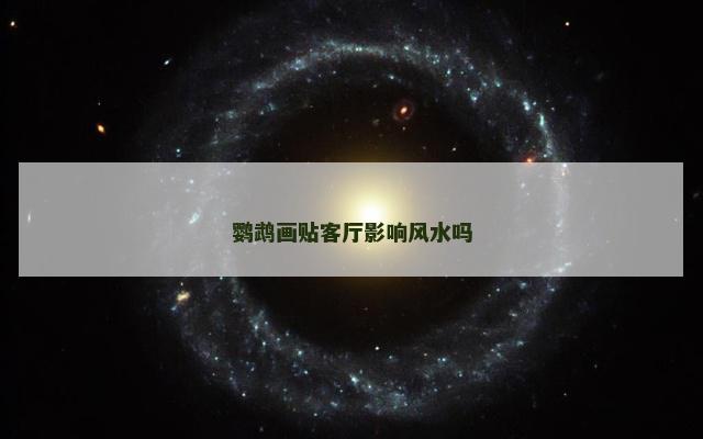 鹦鹉画贴客厅影响风水吗
