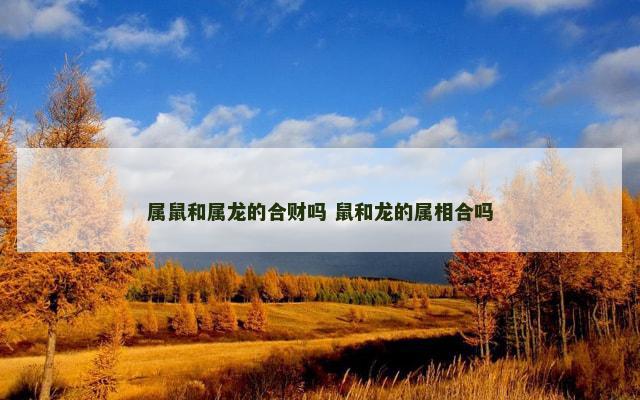属鼠和属龙的合财吗 鼠和龙的属相合吗