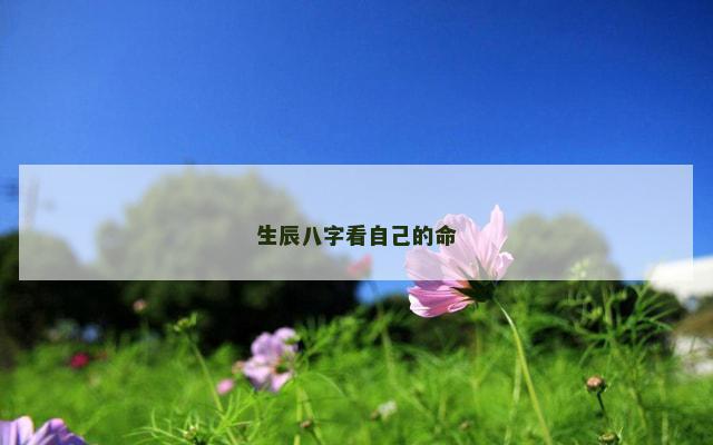 生辰八字看自己的命