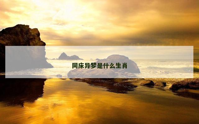 同床异梦是什么生肖