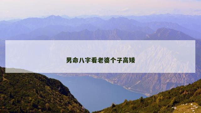 男命八字看老婆个子高矮