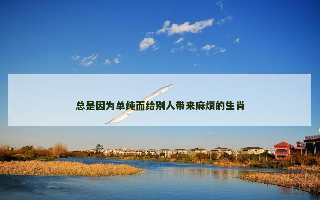 总是因为单纯而给别人带来麻烦的生肖