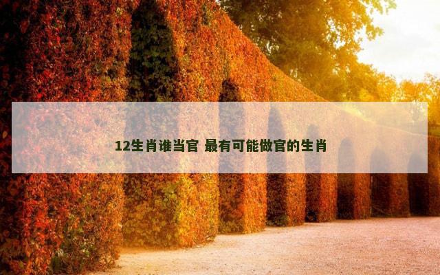 12生肖谁当官 最有可能做官的生肖