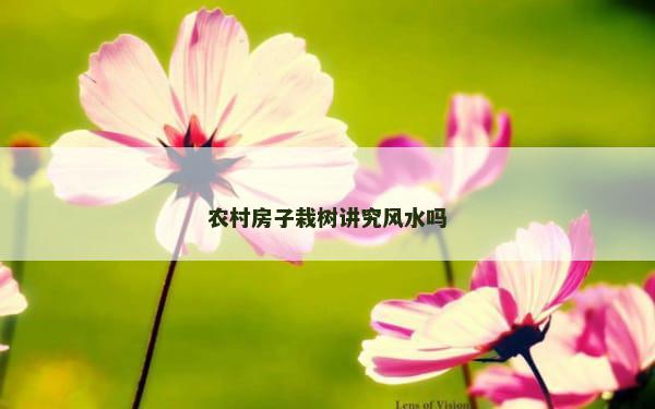 农村房子栽树讲究风水吗