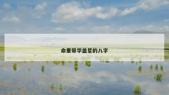 命里带华盖星的八字