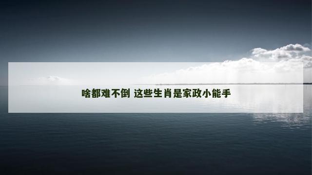 啥都难不倒 这些生肖是家政小能手