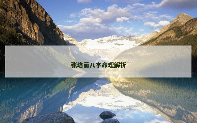 张培萌八字命理解析